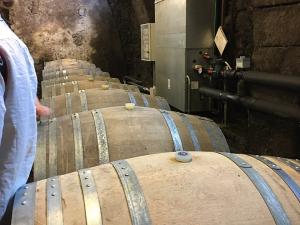 Exploring cellars in Mt Etna