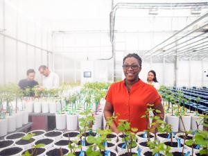 Australian Plant Phenomics Facility & The Plant Accelerator