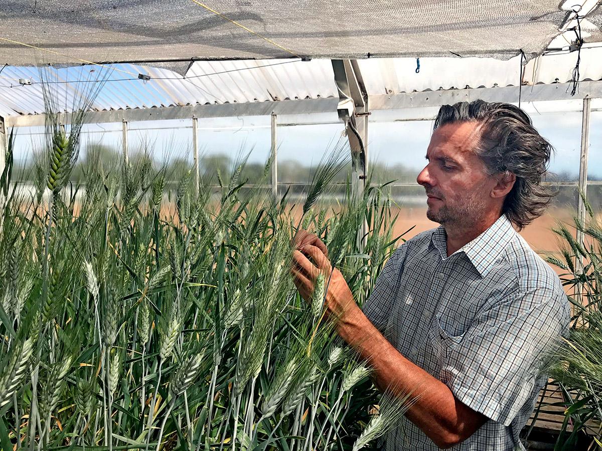 Jason Able, Head of the Department of Agricultural Science