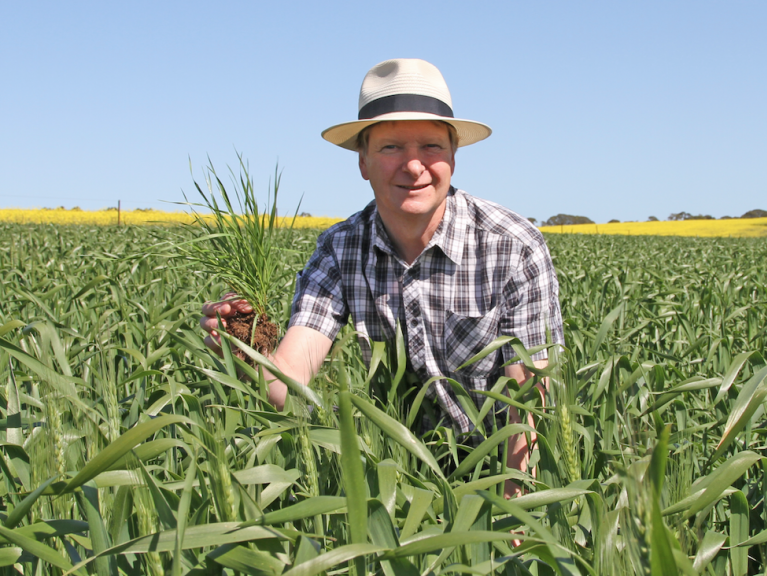 Chris Preston holding a weed in a paddock.