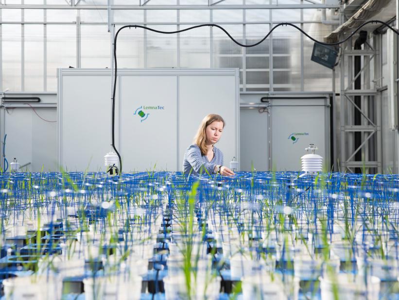 Plant Accelerator Bettina Berger