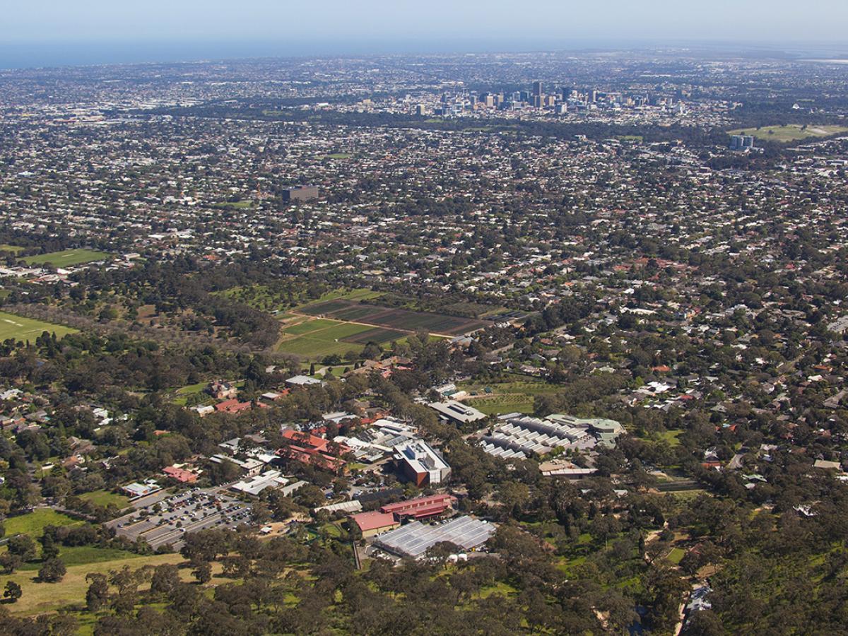 Waite campus aerial photo