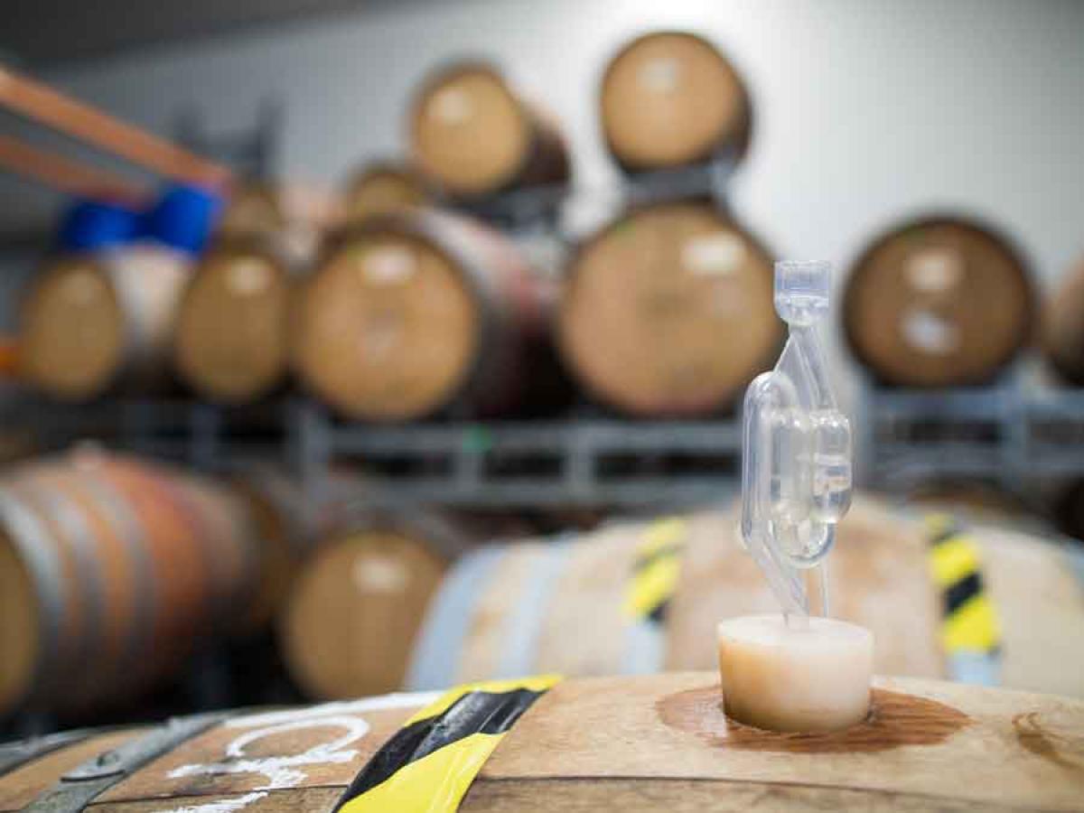Waite campus winery. Wine sciences research