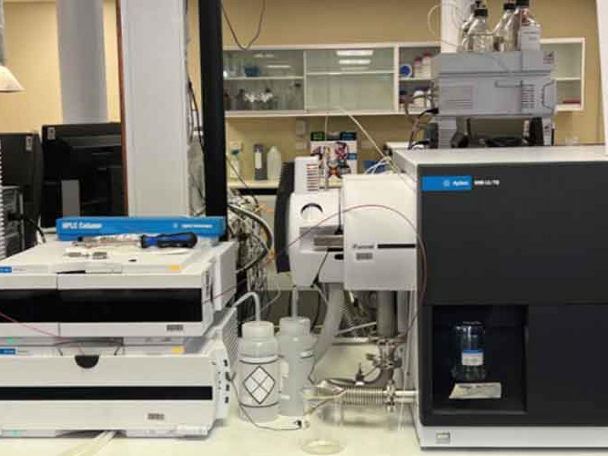 Agilent Ultra high performance liquid chromatography-triple quadrupole mass spectrometer (UHPLC-QQQ-MS)
