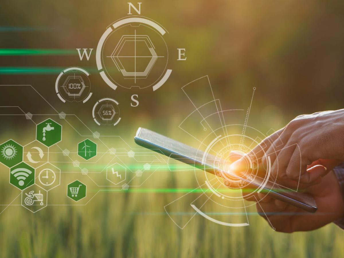A hand holding a smartphone with a digital overlay of images (sun, wind turbine, water drop, shopping car) in front of a field of crops. Representation of a technical interface for the monitoring of agricultural activities