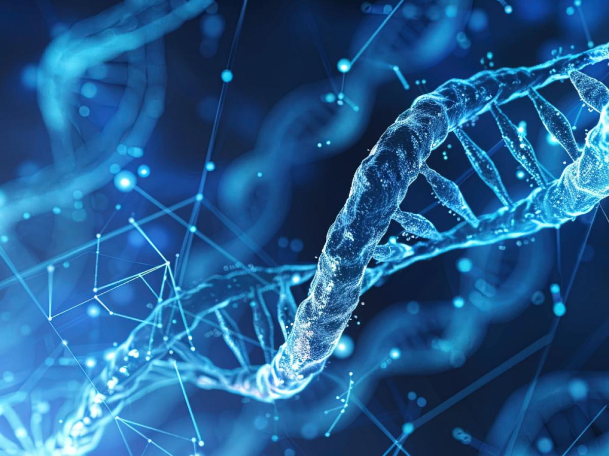 DNA