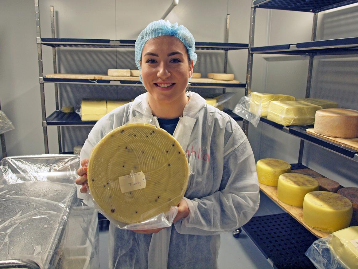 link to food & nutrition study tours page