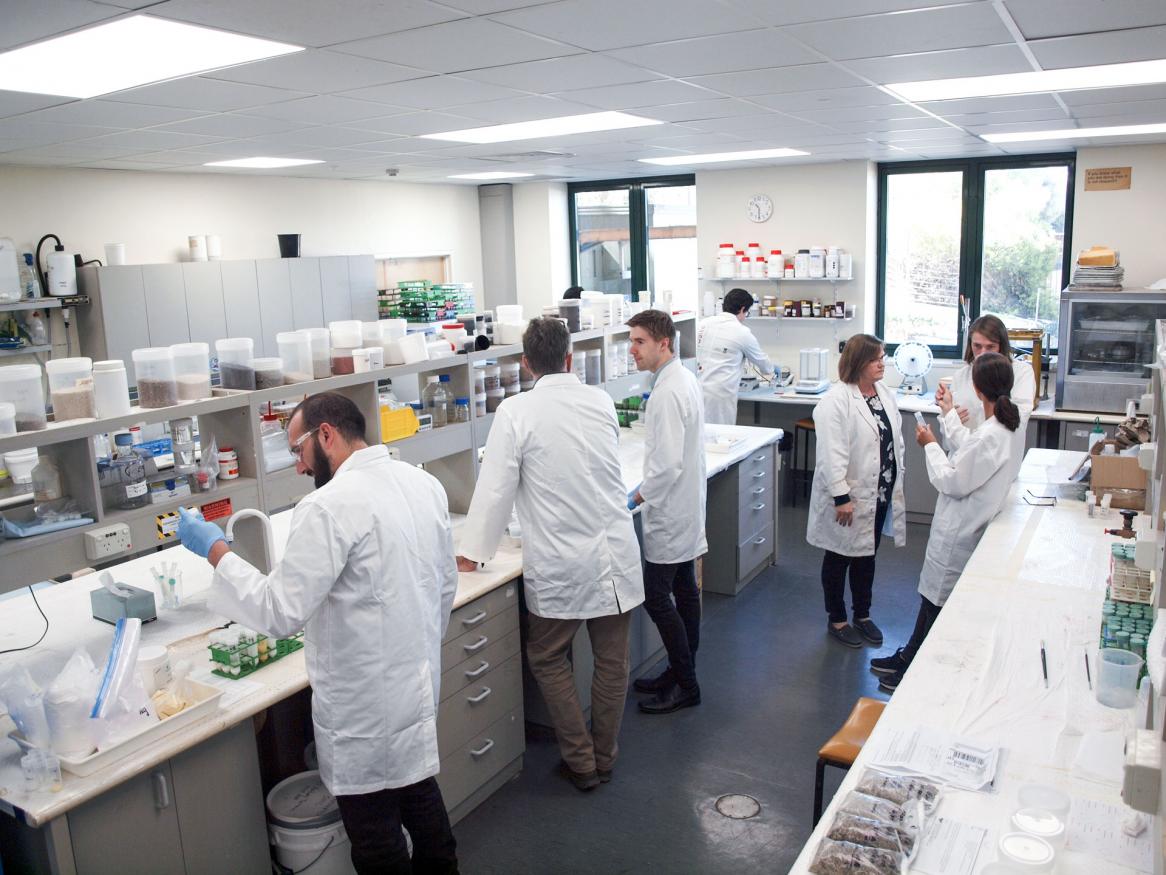 Fertiliser Technology Research Centre lab