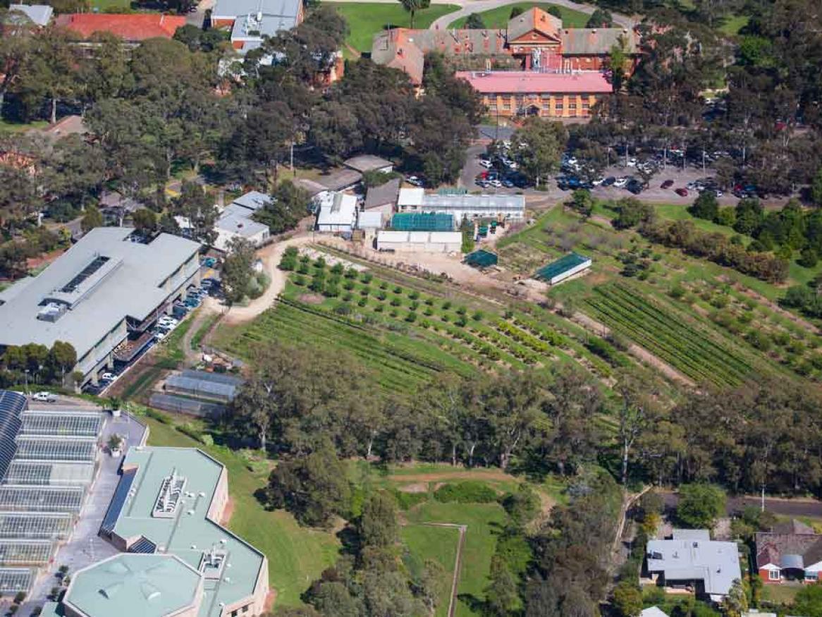 Waite campus aerial shot