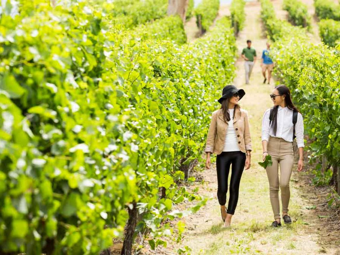 Hickinbotham Roseworthy Wine Science Laboratory