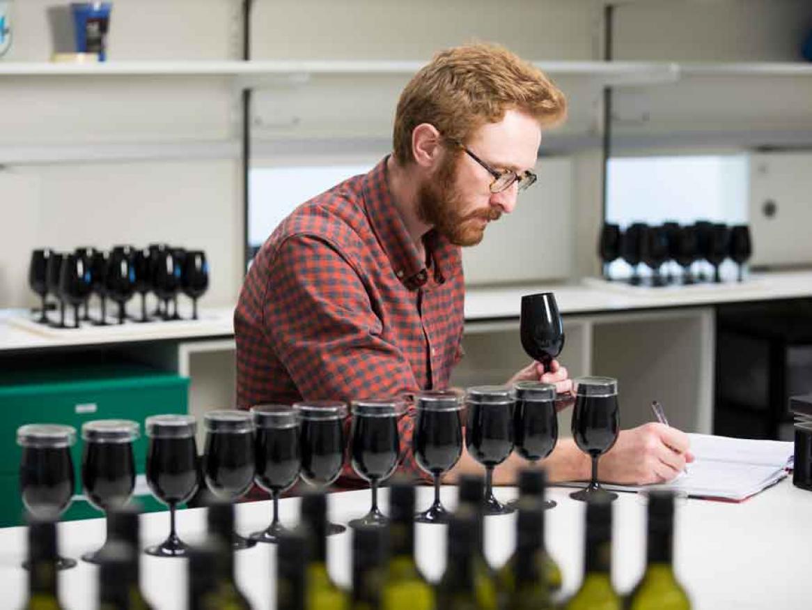Viticulture and oenology 