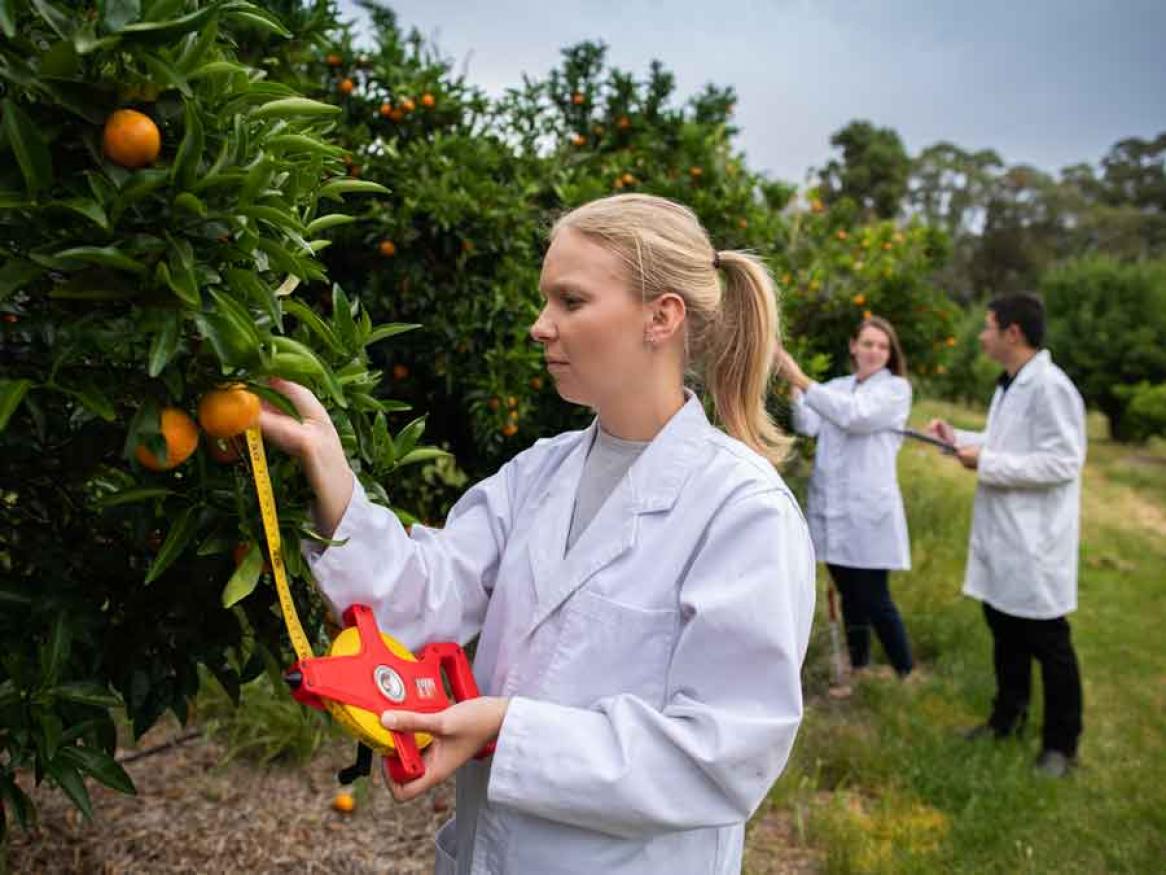 Food and nutrition sicence