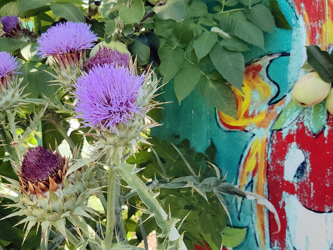Flowers in a backyard garden