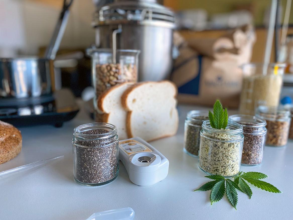 Food testing equipment with a range of grains, seeds and breads