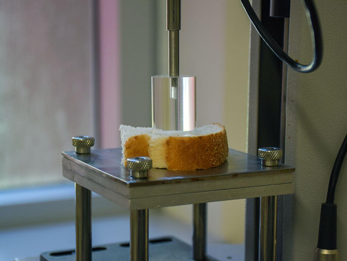 Food physical analysis