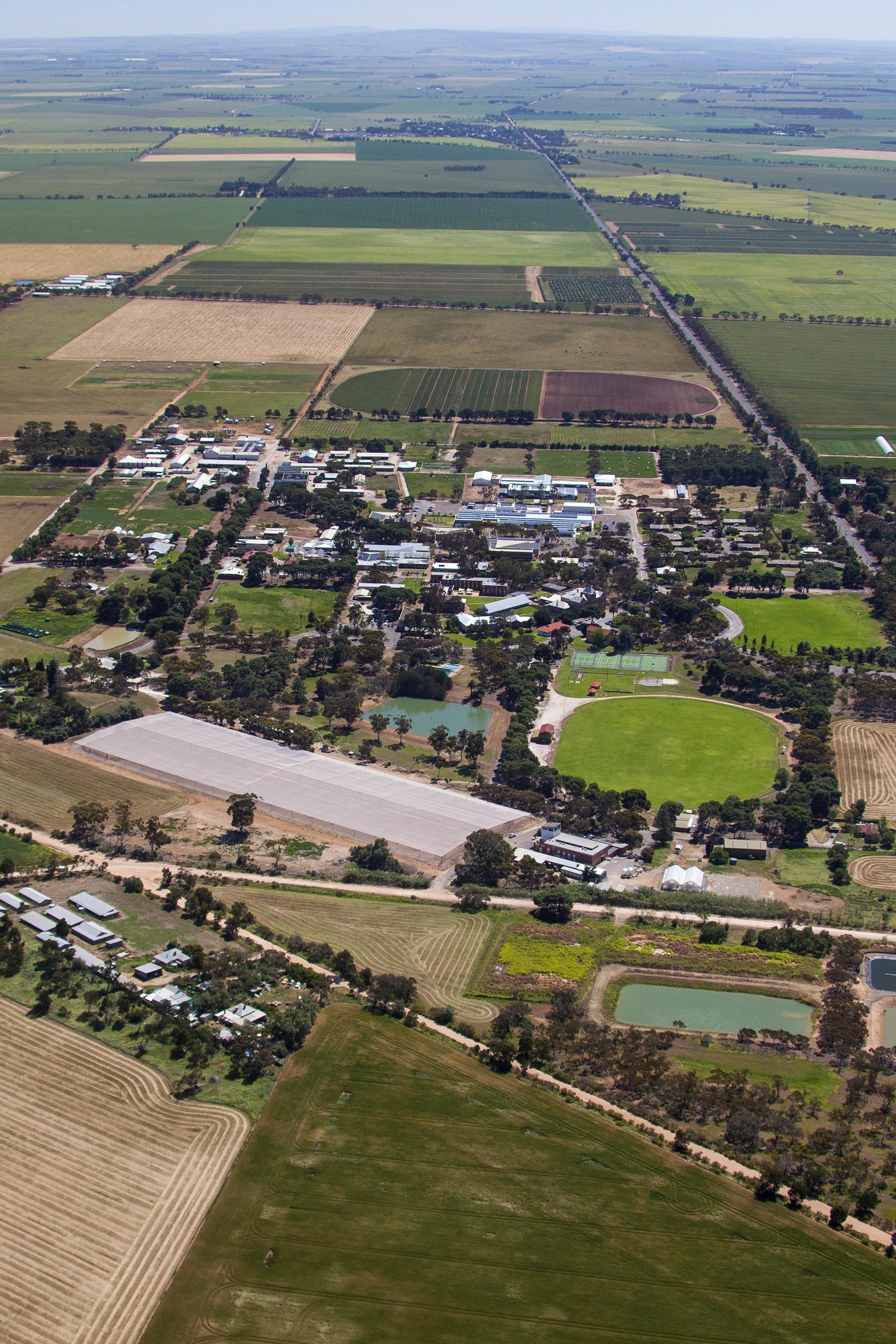 An aerial photo of the University of Adelaide Roseworthy campus