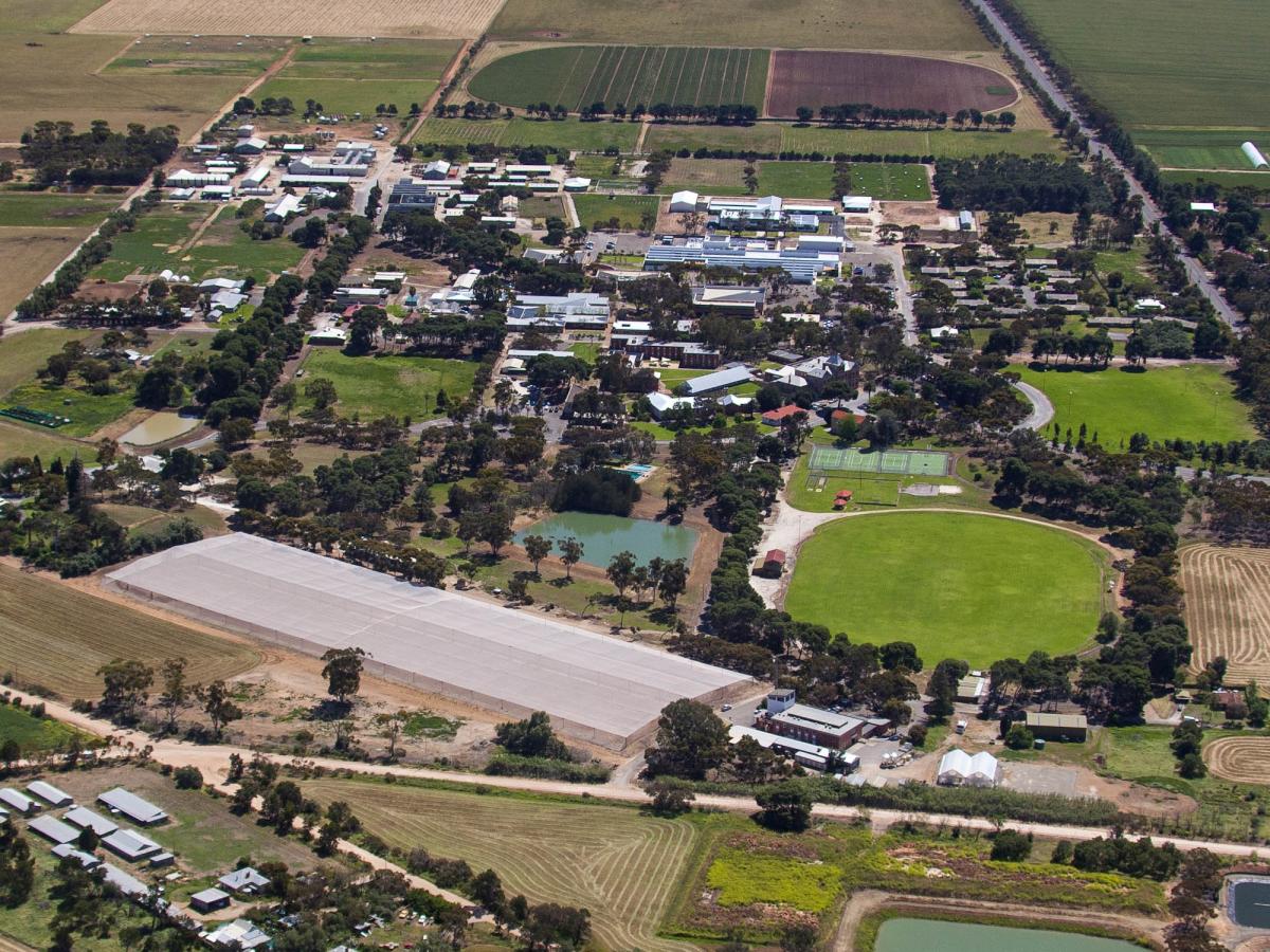 An aerial photo of the University of Adelaide Roseworthy campus