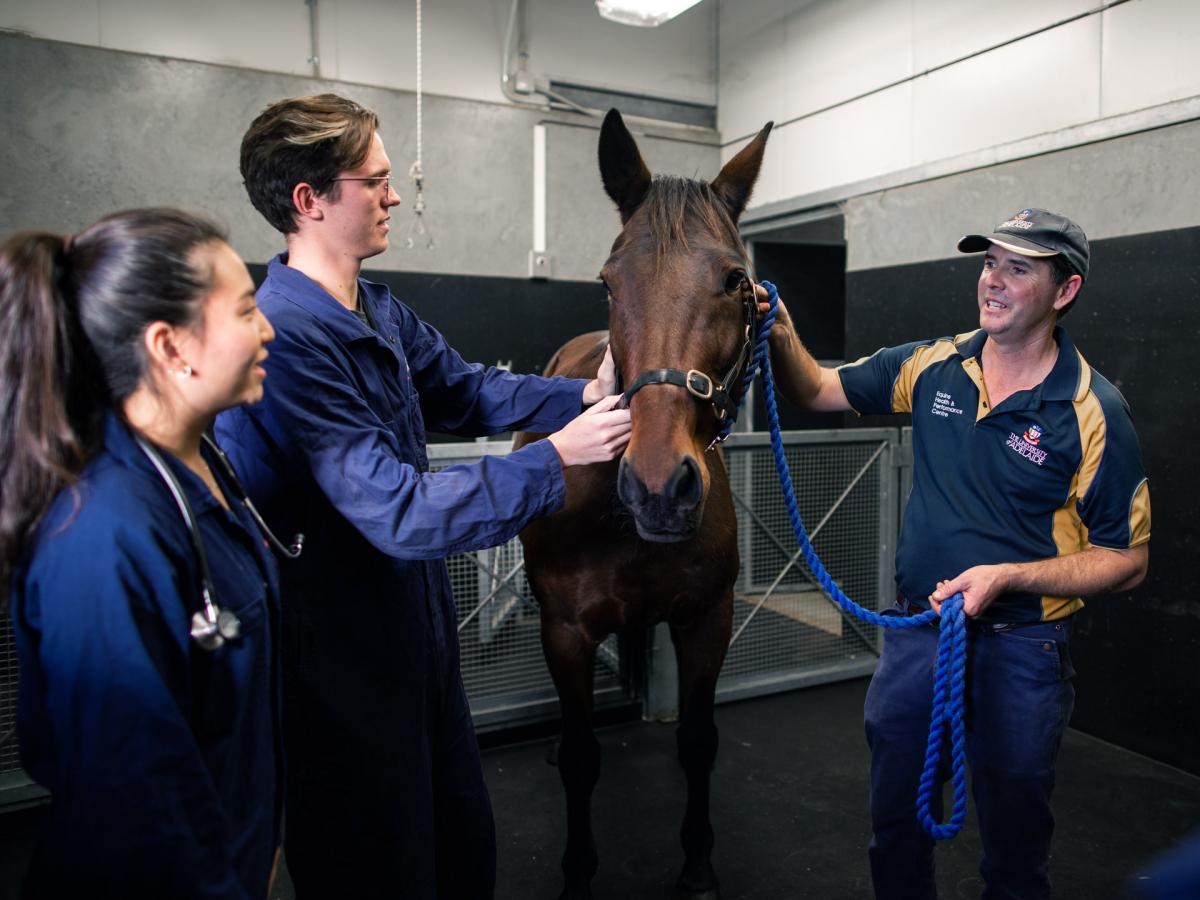 About Our School | School of Animal and Veterinary Sciences | University of  Adelaide