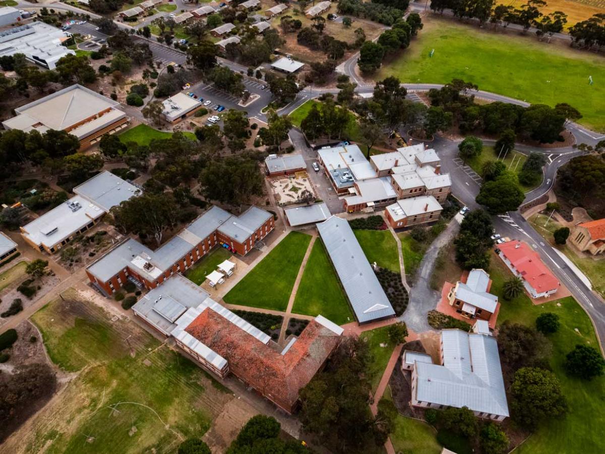 Aerial view of Roseworthy campus