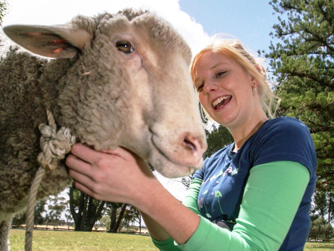 Amy with sheep
