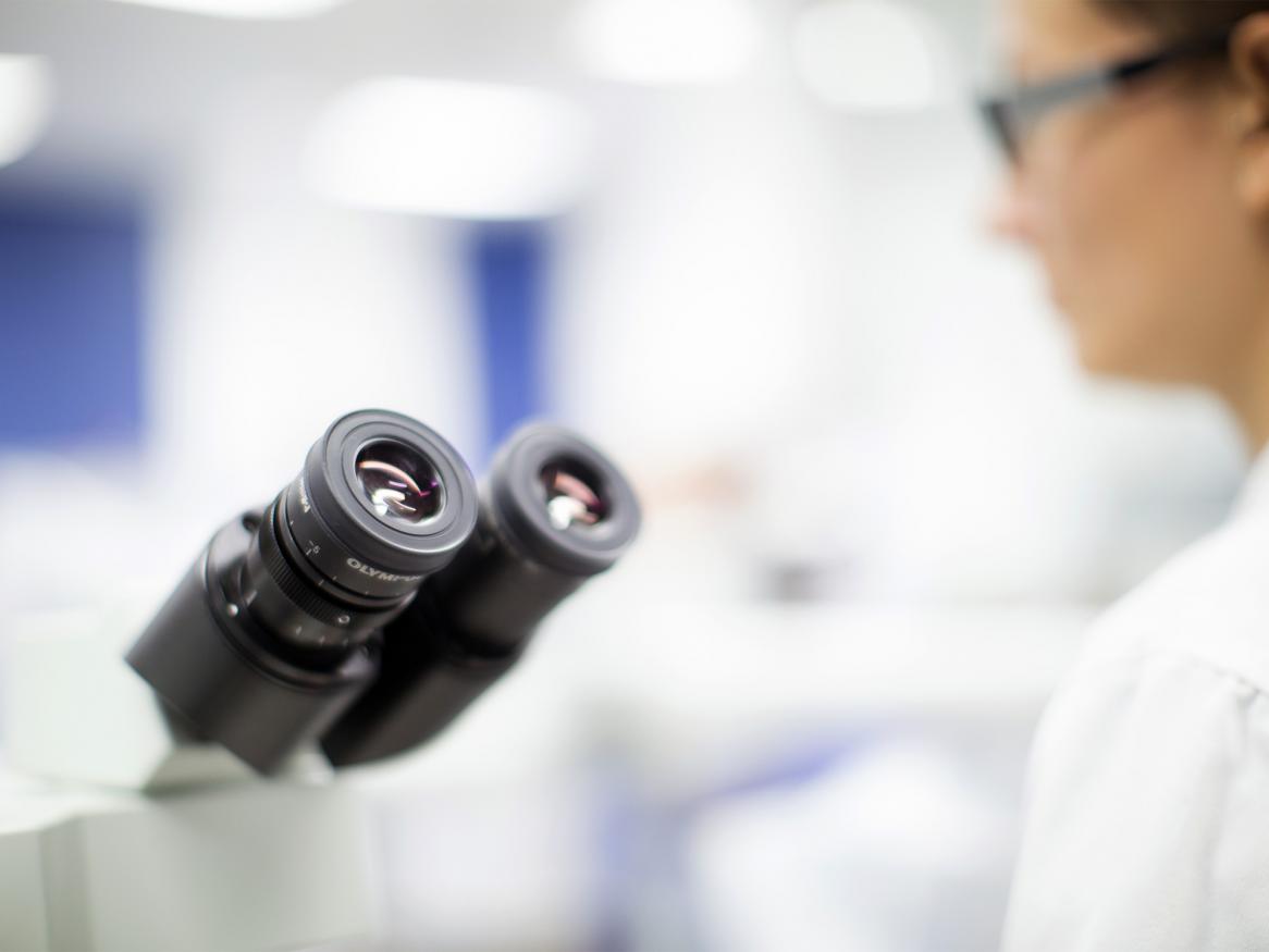 Microscope in animal and veterinary sciences lab, Roseworthy