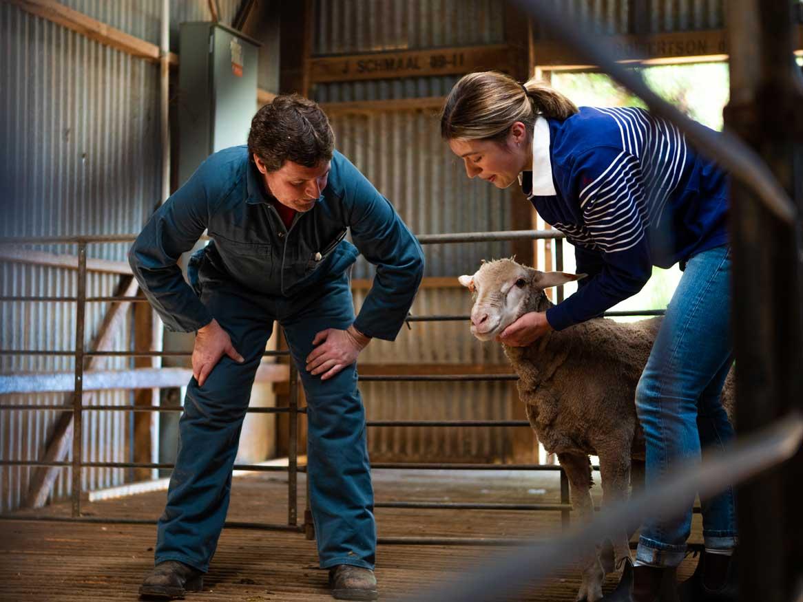 Animal science