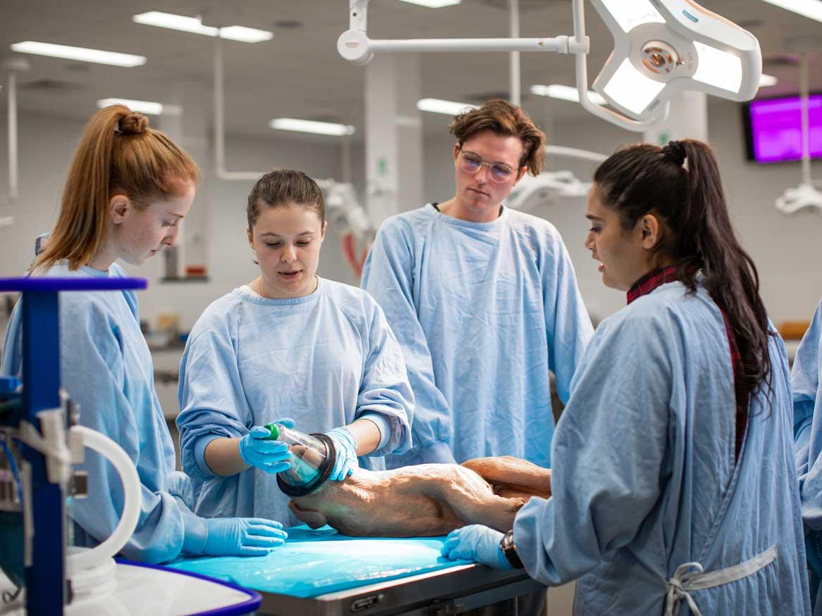 Veterinary science