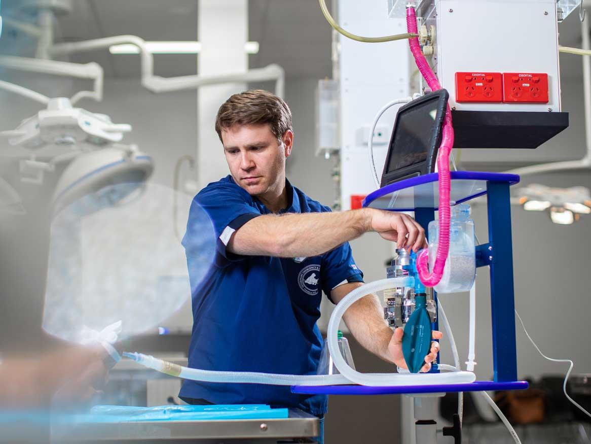 Veterinary technology