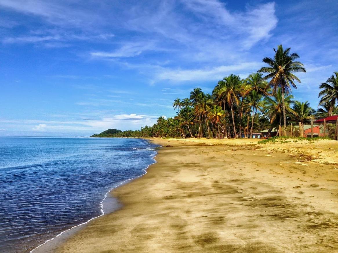 Volunteer with animals - Fiji
