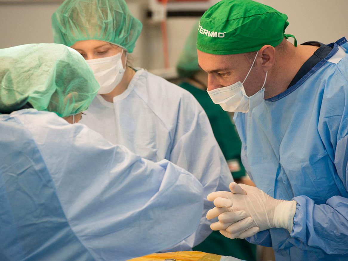Veterinary surgery
