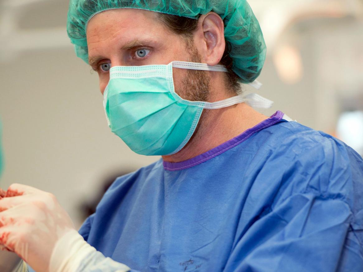 Vet surgery image