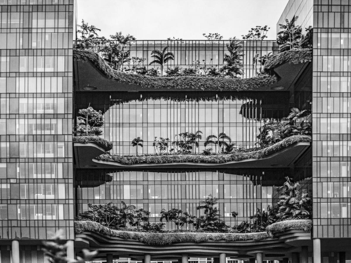 Environment building
