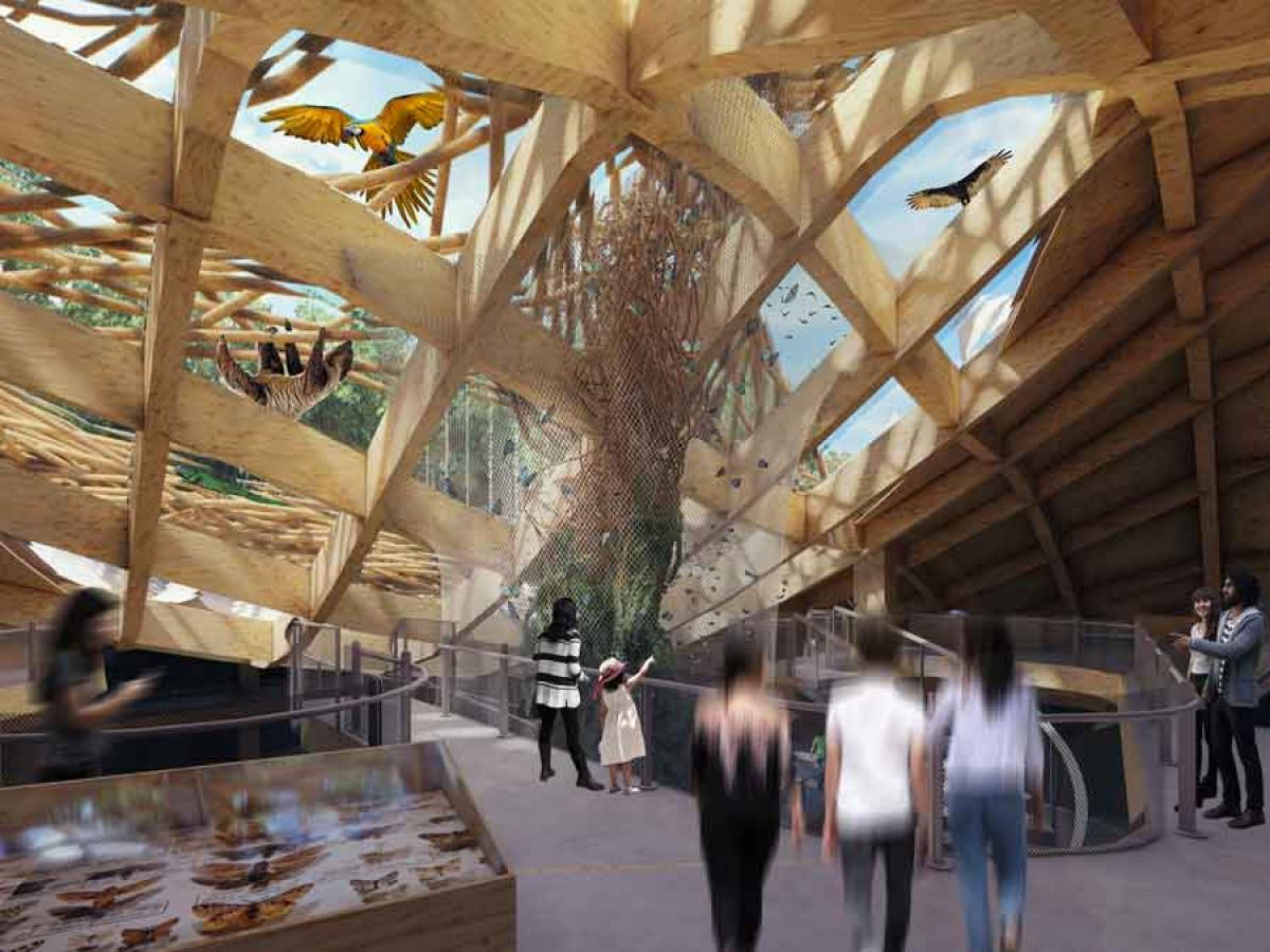 Atrium render