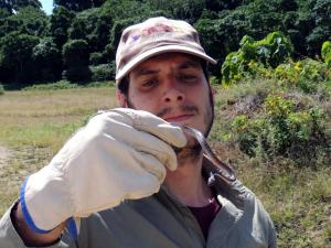 Pablo García-Díaz handles an invasive wolf snake (Lycodon capucinus) in the rainforest of Christmas Island. Predation by invasive wolf snakes is believed to be one of the factors of the decline of native species of reptiles in Christmas Island.