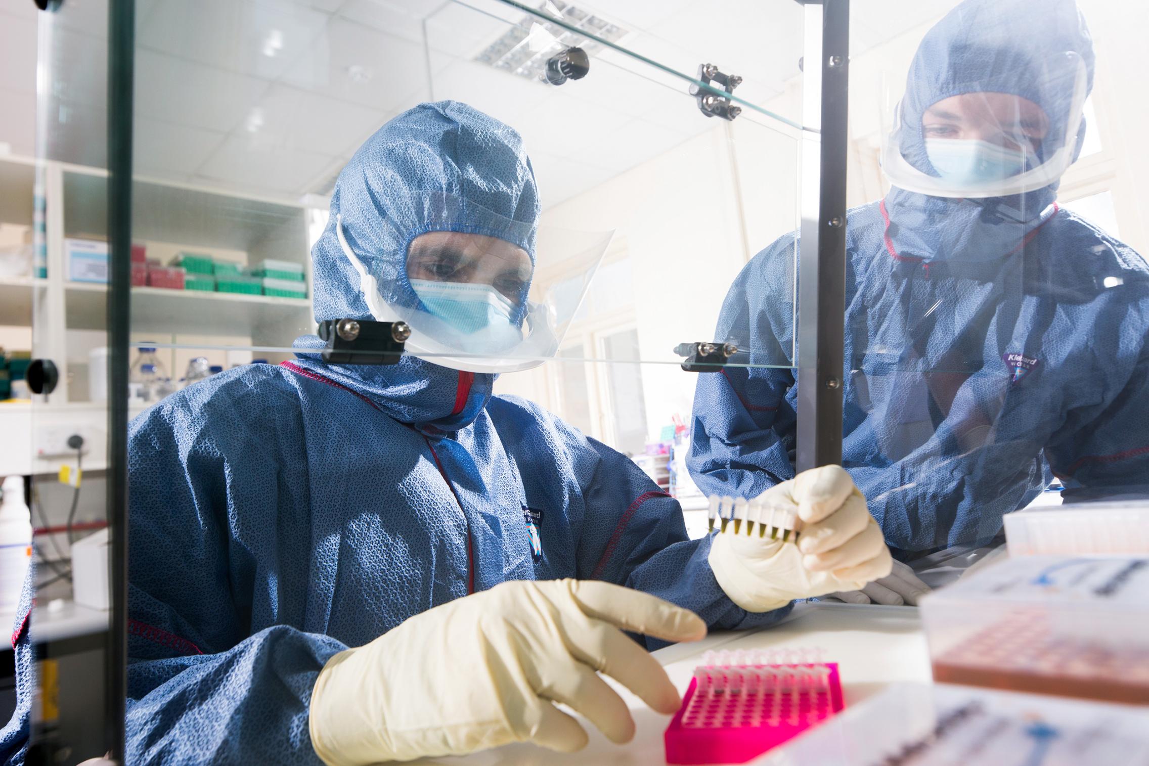 Ancient dna researchers