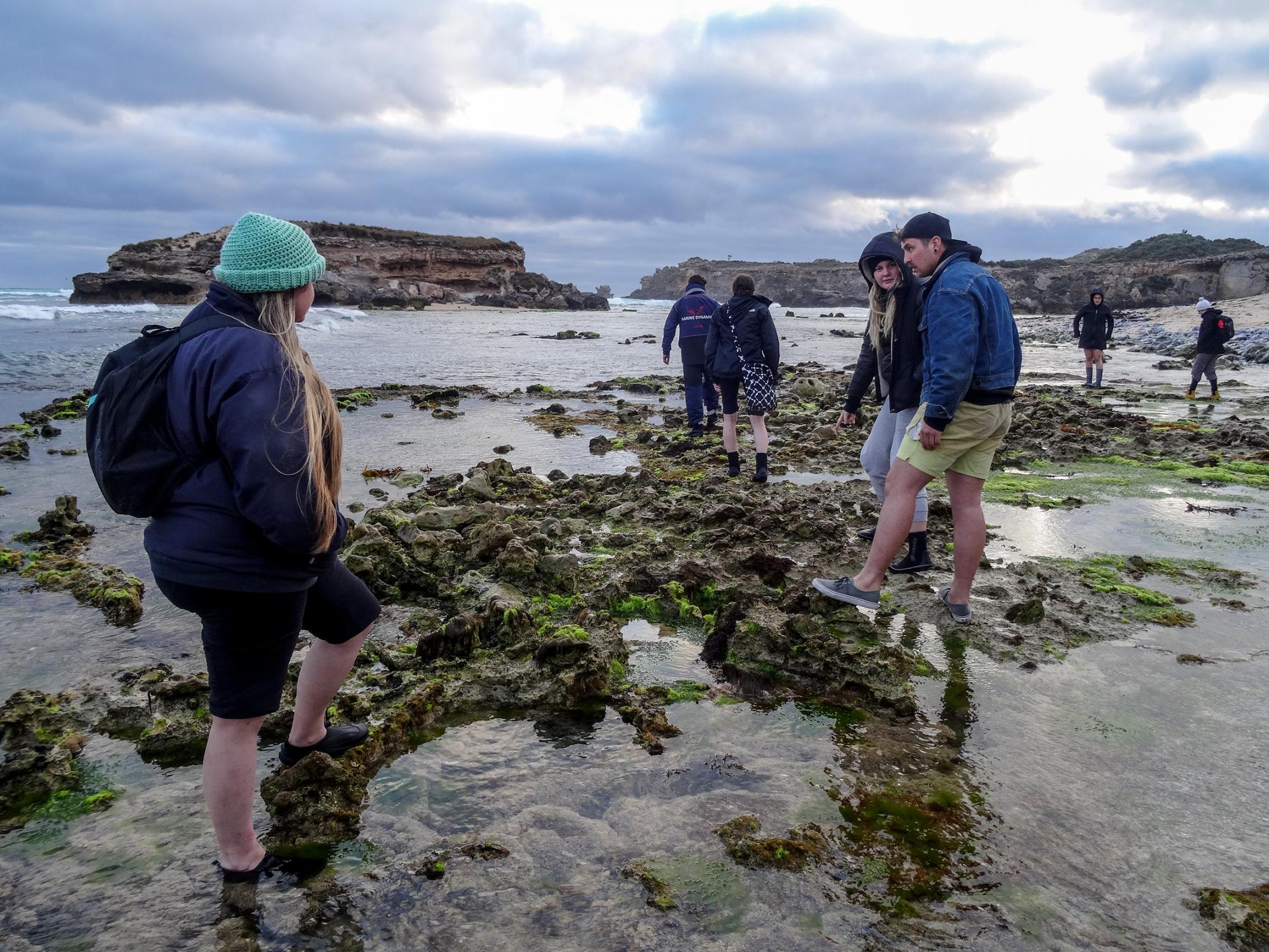 Marine ecology field trip. Images courtesy Shannon Lauchlan, Estuarine Ecologist