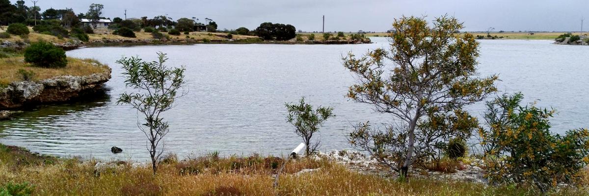 Coobowie field station image