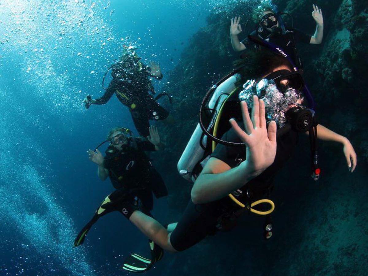 Study overseas - study tour image