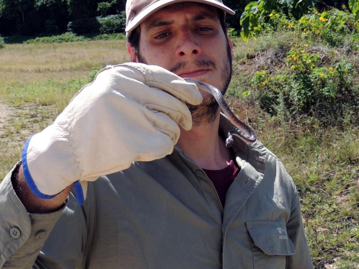 Pablo García-Díaz with invasive wolf snake