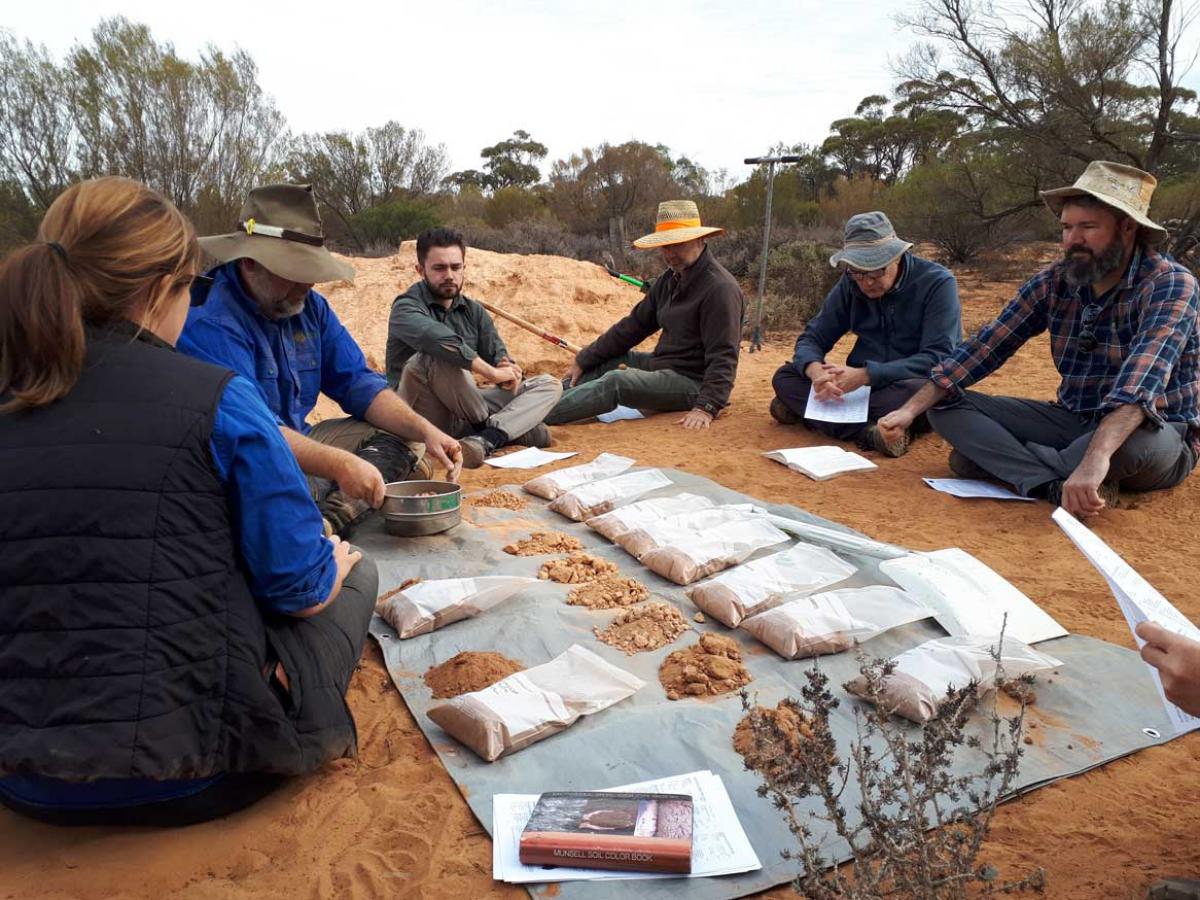TERN members colleting soil samples