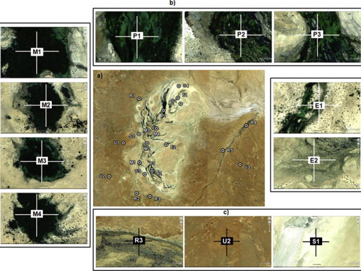 Monitoring temporal dynamics of Great Artesian Basin wetland vegetation, Australia, using MODIS NDVI j.ecolind.2013.04.009