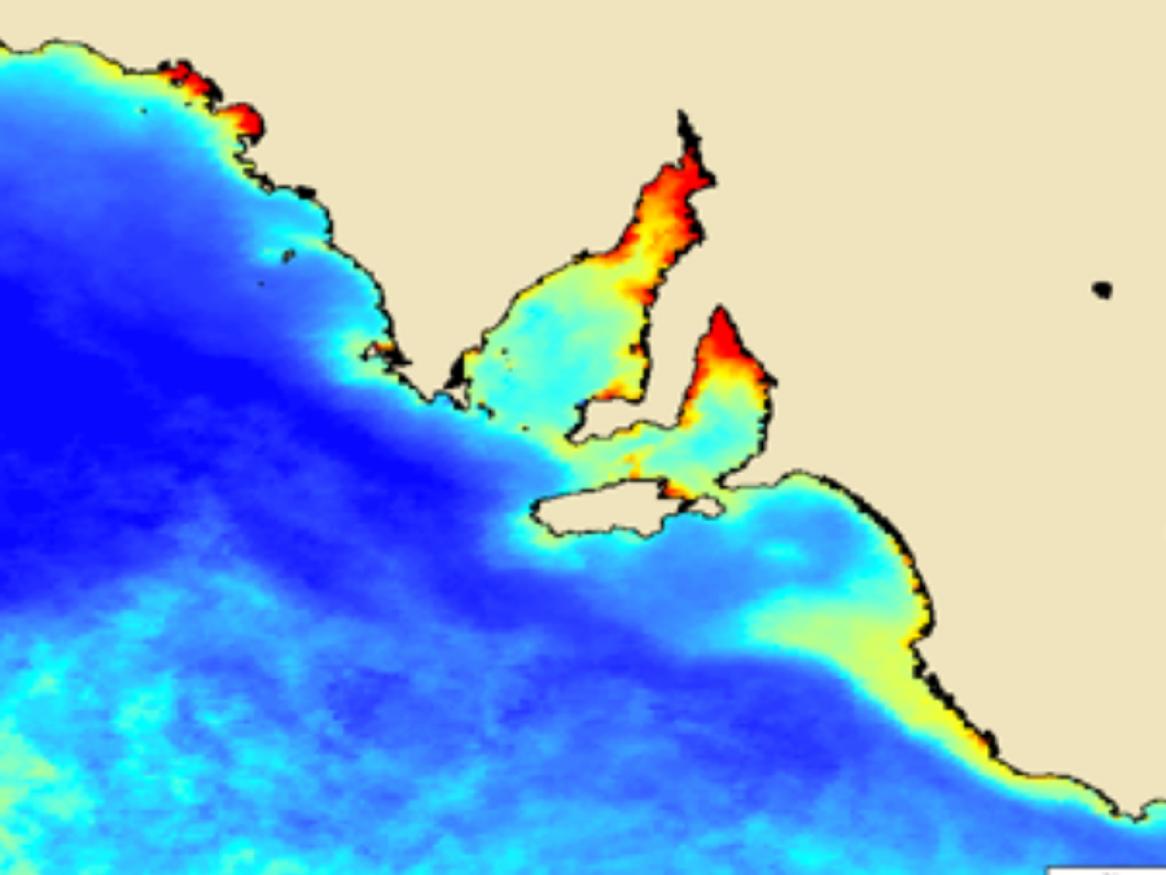 Coastal water quality