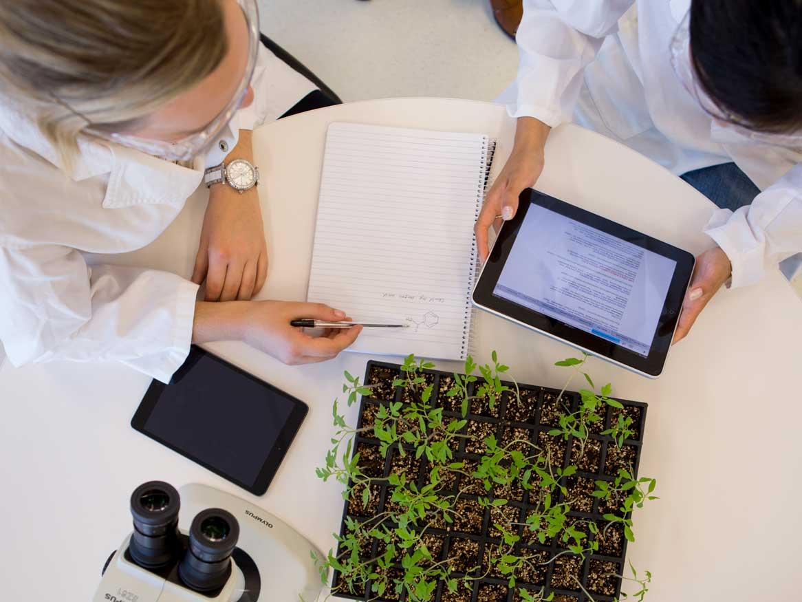 Molecular and biomedical science