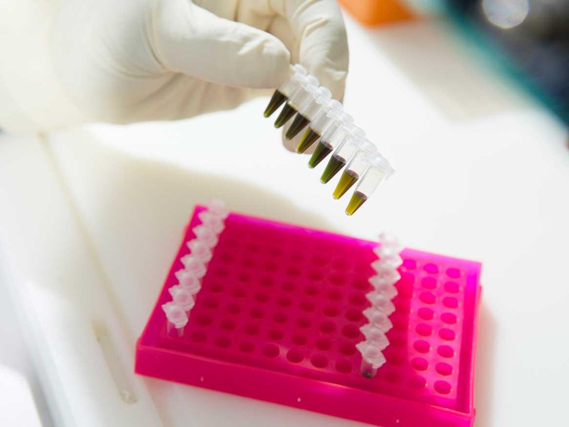 Australian Centre for Ancient DNA (ACAD)