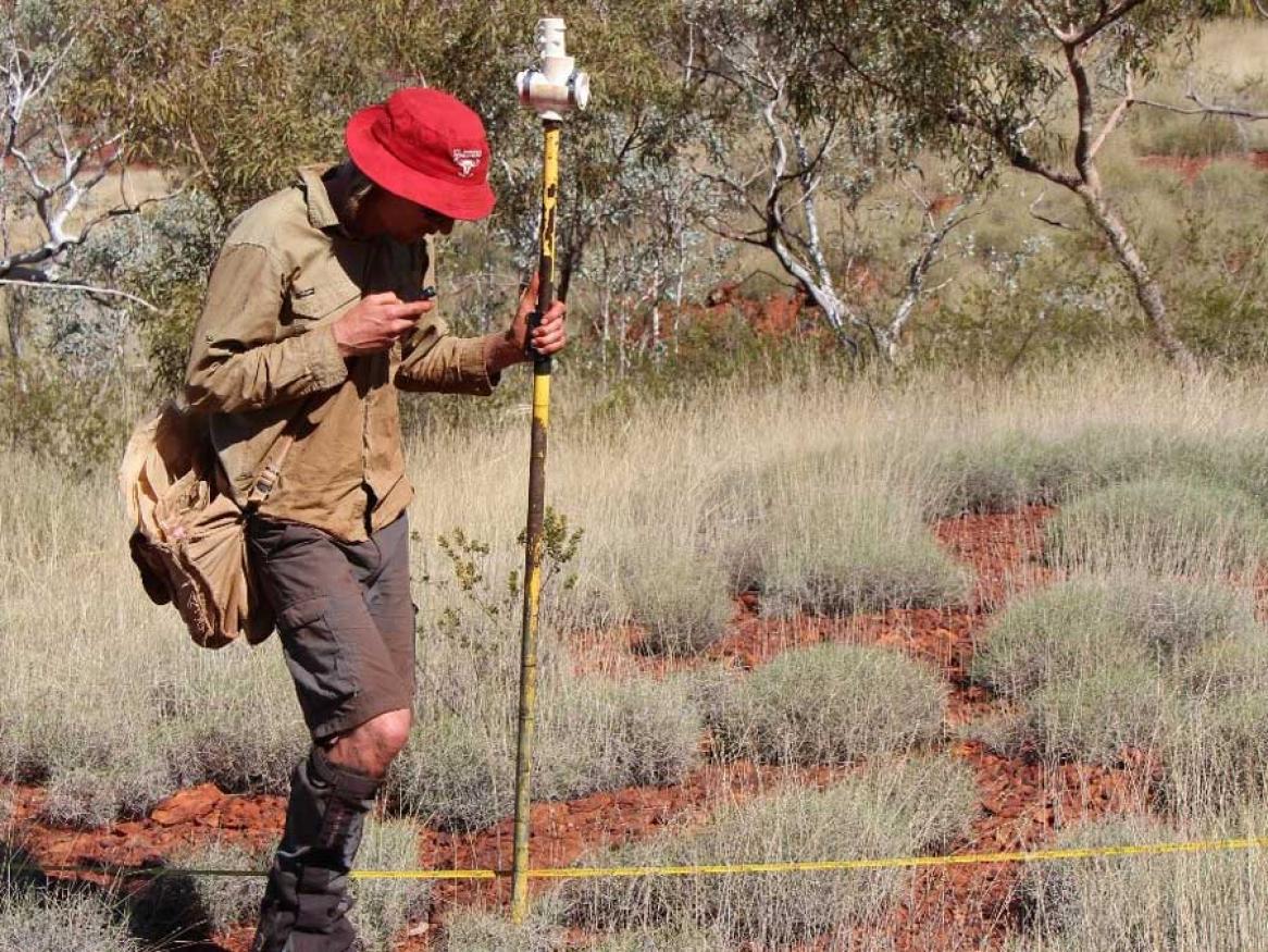 A man in the outback