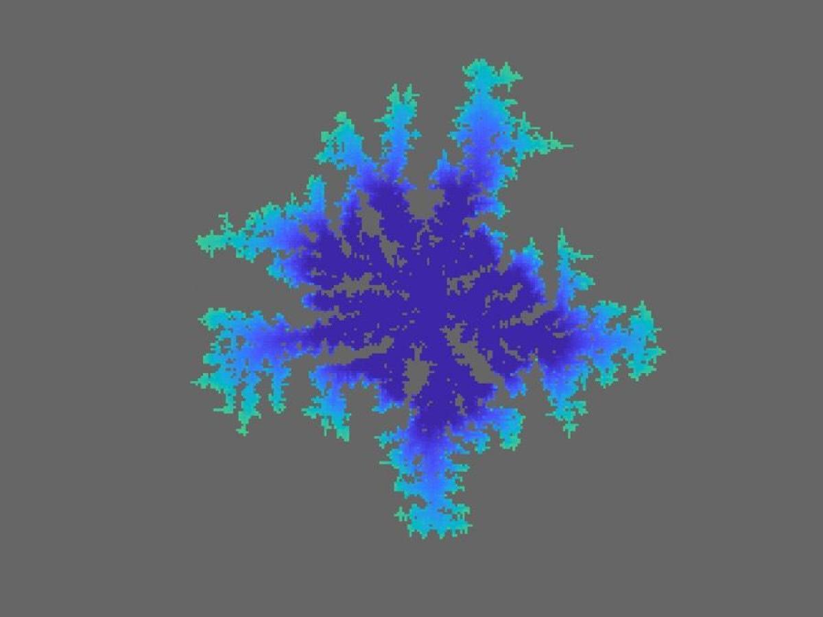 Dynamics Modelling and Computation