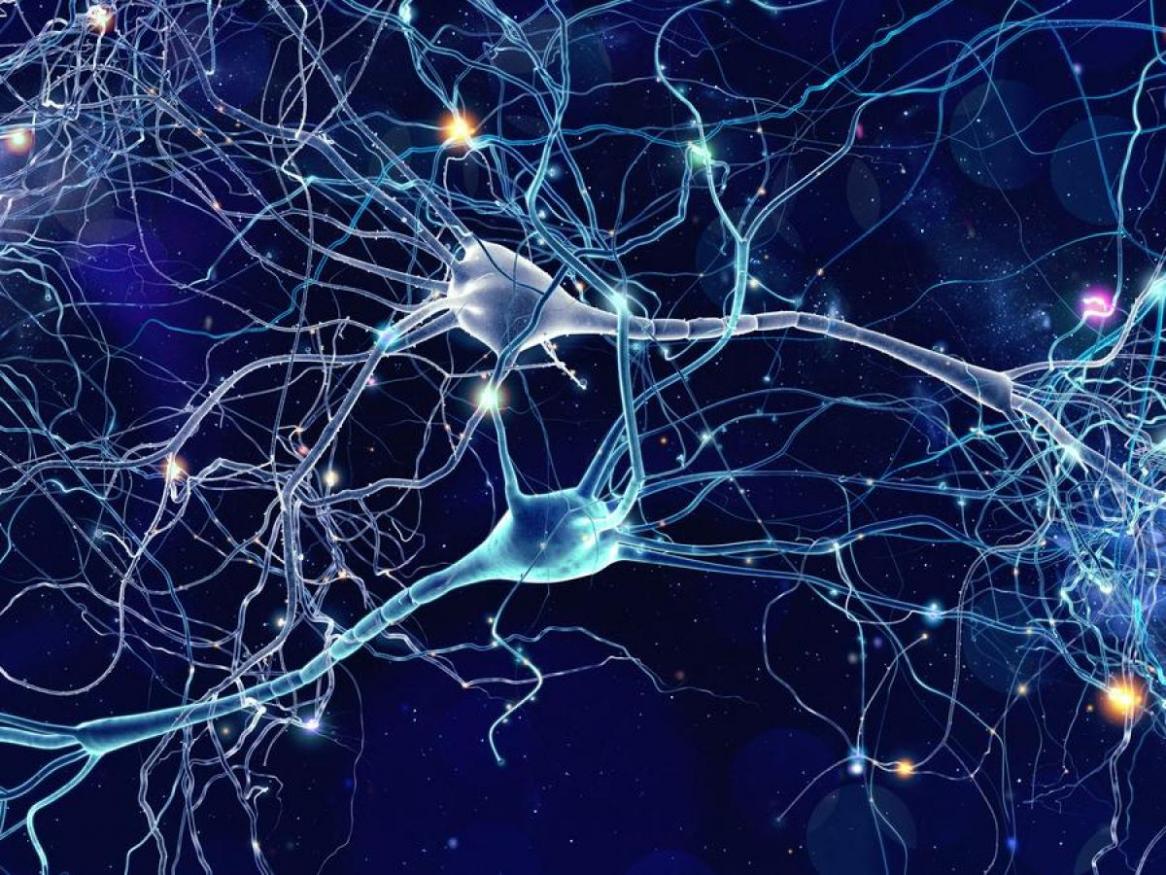 Machine Learning and Artificial Intelligence