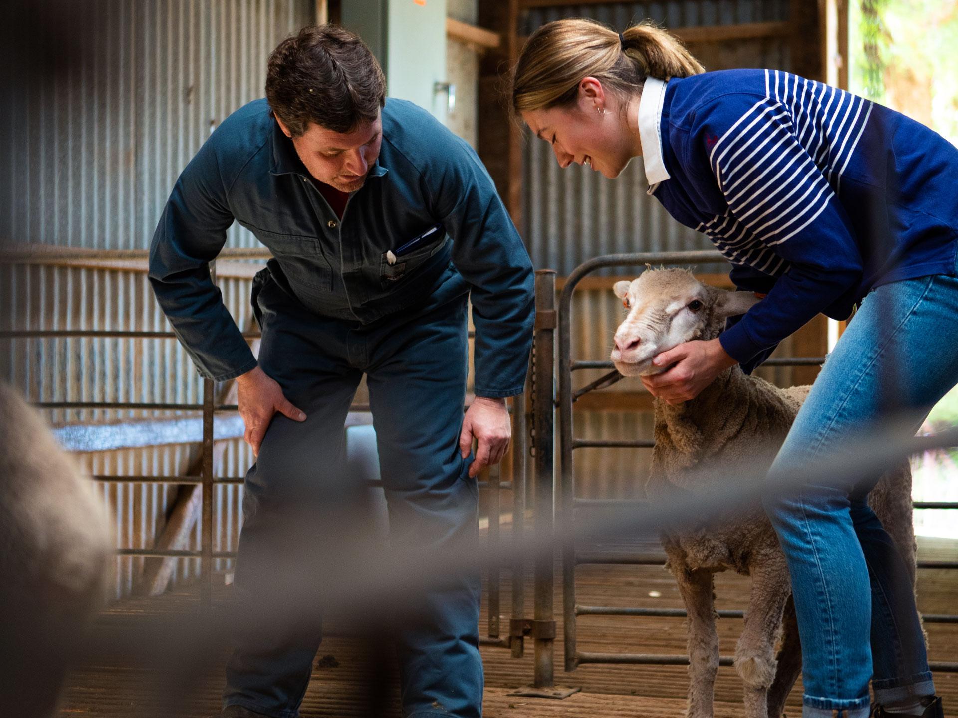 Animal science student with sheep