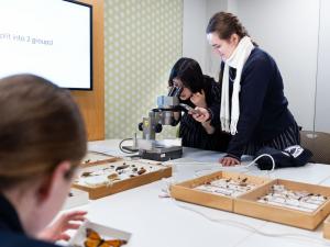 Young Women in STEM