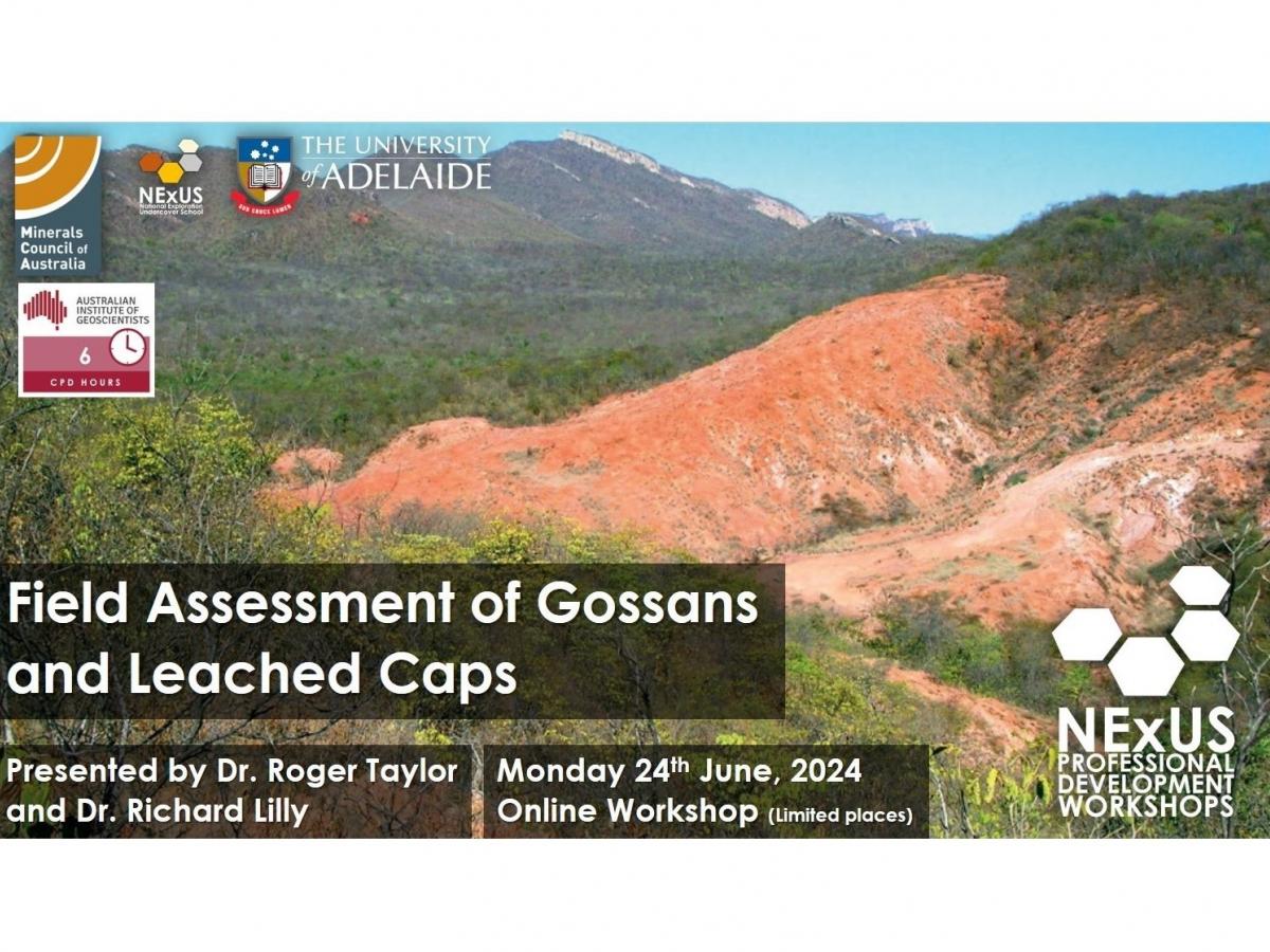 Field assessment of gossans and leached outcrops FLYER